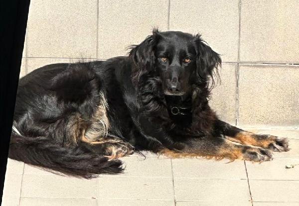 SELVAGGIA DOLCE E TIMIDA Foto 7